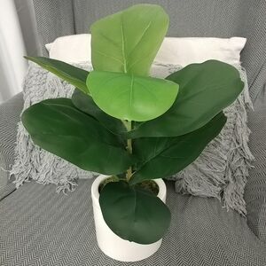 Fiddle Leaf Plant Ceramic Pot Green Faux Fiddle Leaf Fig Plant White Planter